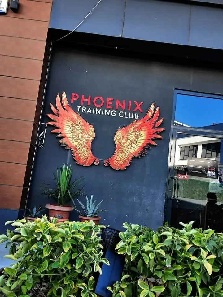 Phoenix Training Club girişi